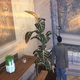 Image for article titled I Explored Second Life's Forgotten Worlds With an Oculus Rift
